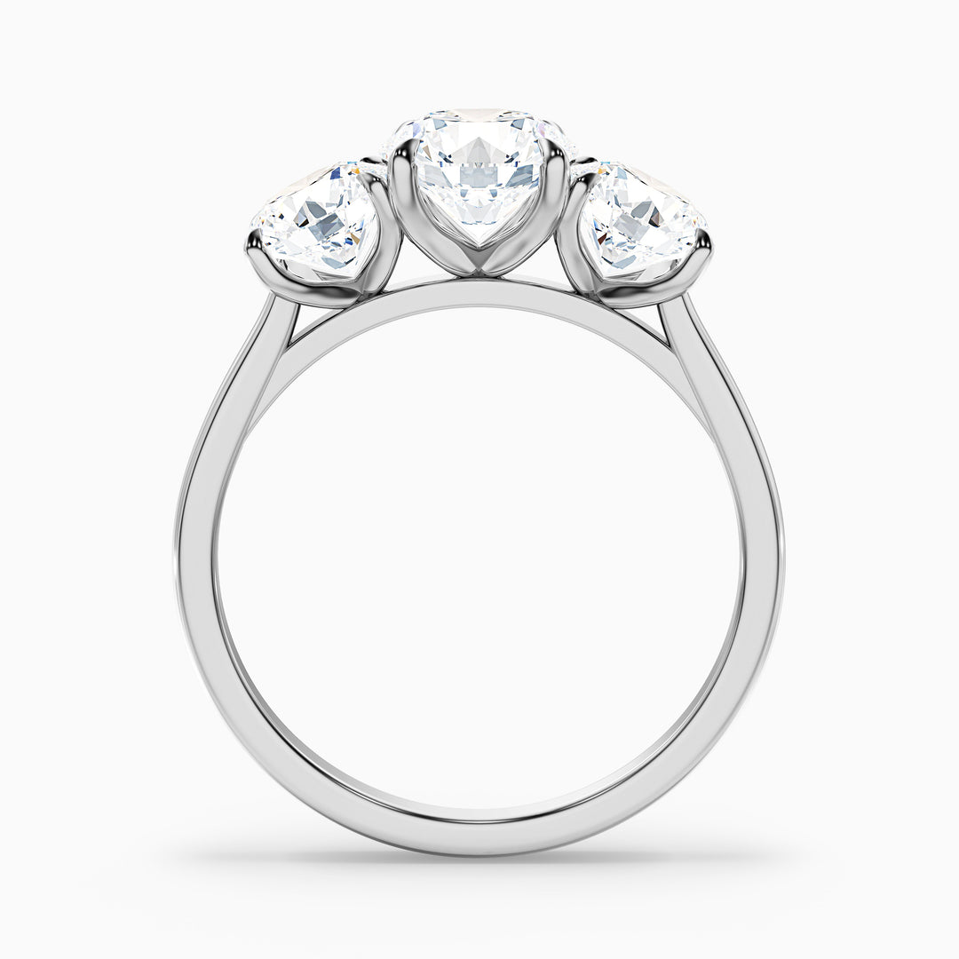 jane 10 carat round three stone moissanite diamond ring in 14k white gold -  Side View