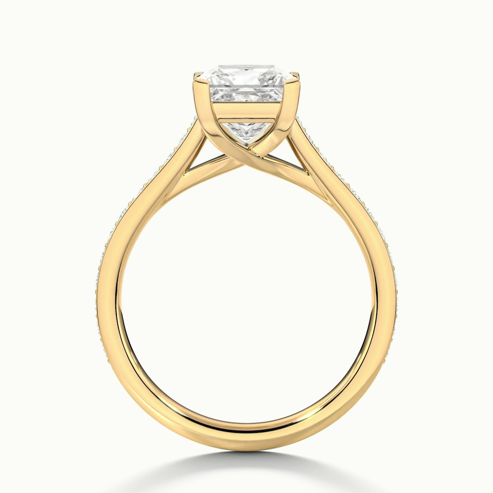 Asta 2 Carat Princess Cut Solitaire Pave Lab Grown Diamond Ring in 10k Yellow Gold