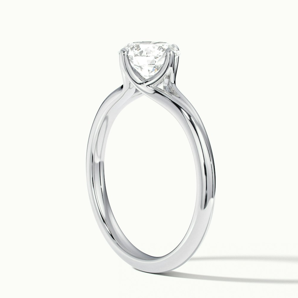 Nelli 3.5 Carat Round Cut Solitaire Lab Grown Diamond Ring in 10k White Gold