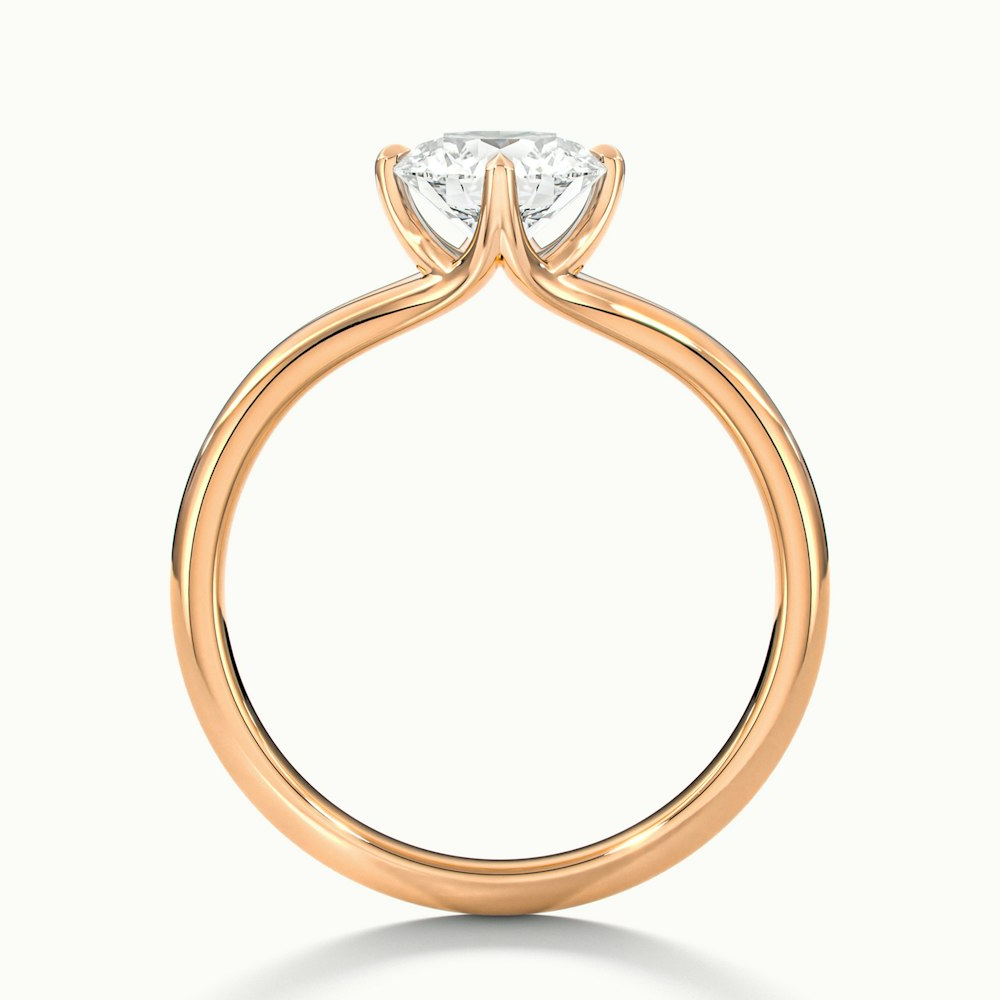 Nelli 2.5 Carat Round Cut Solitaire Lab Grown Diamond Ring in 10k Rose Gold