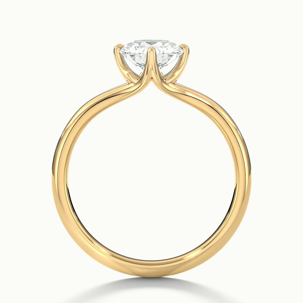 Ally 6 Carat Round Cut Solitaire Moissanite Engagement Ring in 14k Yellow Gold