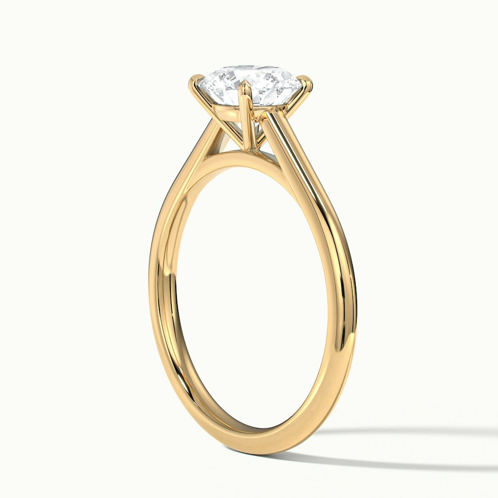 Nia 1 Carat Round Cut Solitaire Moissanite Engagement Ring in 10k Yellow Gold