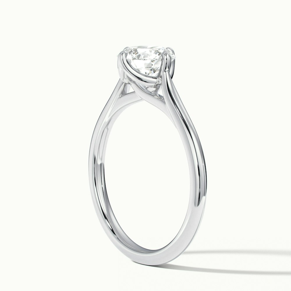 Zuri 10 Carat Round Cut Solitaire Moissanite Engagement Ring in 10k White Gold