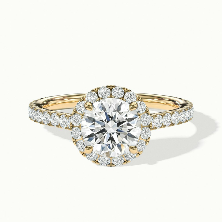 Tara 9 Carat Round Halo Pave Moissanite Engagement Ring in 14k Yellow Gold