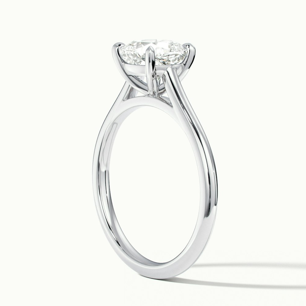 Aisha 4 Carat Cushion Cut Solitaire Moissanite Diamond Ring in 14k White Gold