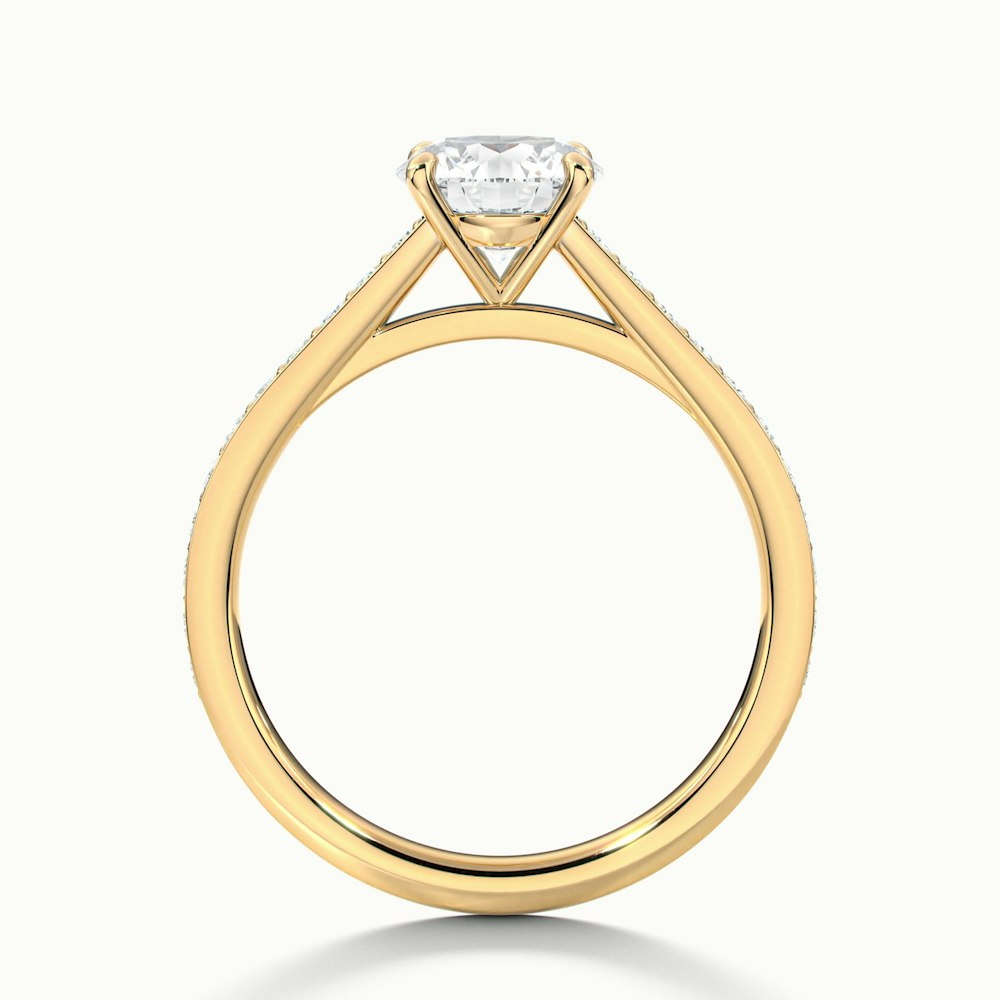 Lisa 2 Carat Round Cut Solitaire Pave Moissanite Diamond Ring in 10k Yellow Gold