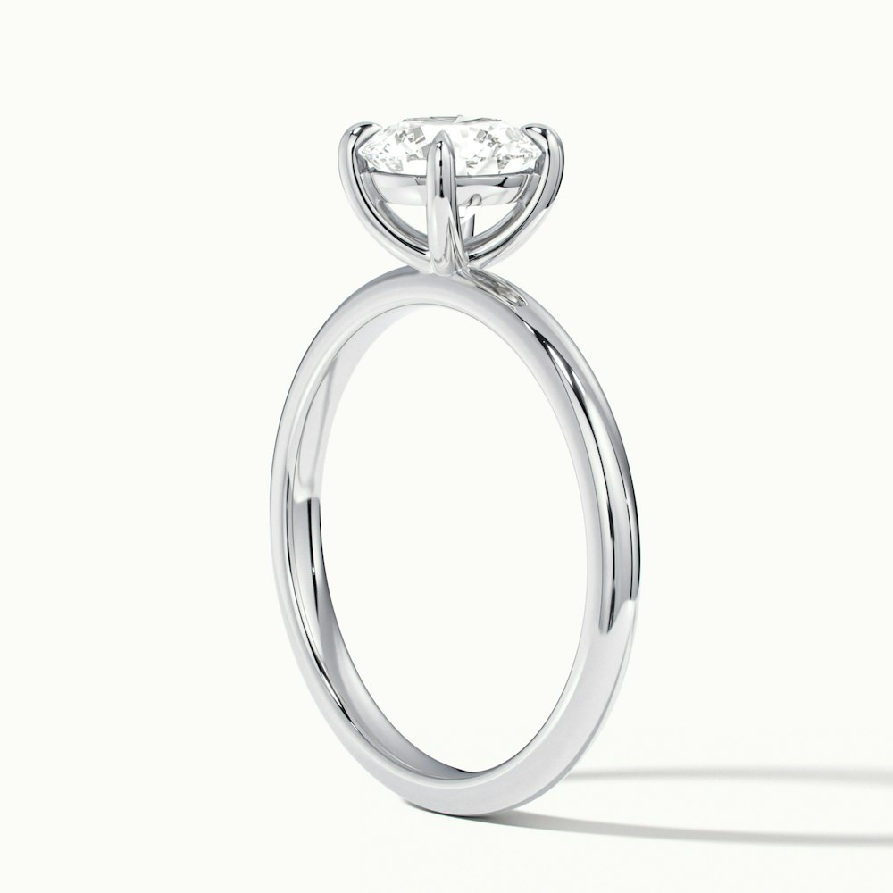 Jany 1 Carat Round Cut Solitaire Moissanite Diamond Ring in Platinum