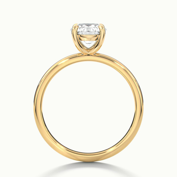 Jany 3 Carat Round Cut Solitaire Moissanite Diamond Ring in 10k Yellow Gold