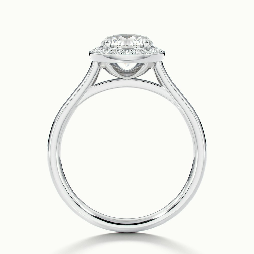 Iva 2 Carat Round Halo Moissanite Diamond Ring in 10k White Gold