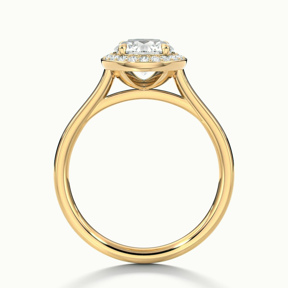 Helyn 1 Carat Round Halo Lab Grown Engagement Ring in 10k Yellow Gold