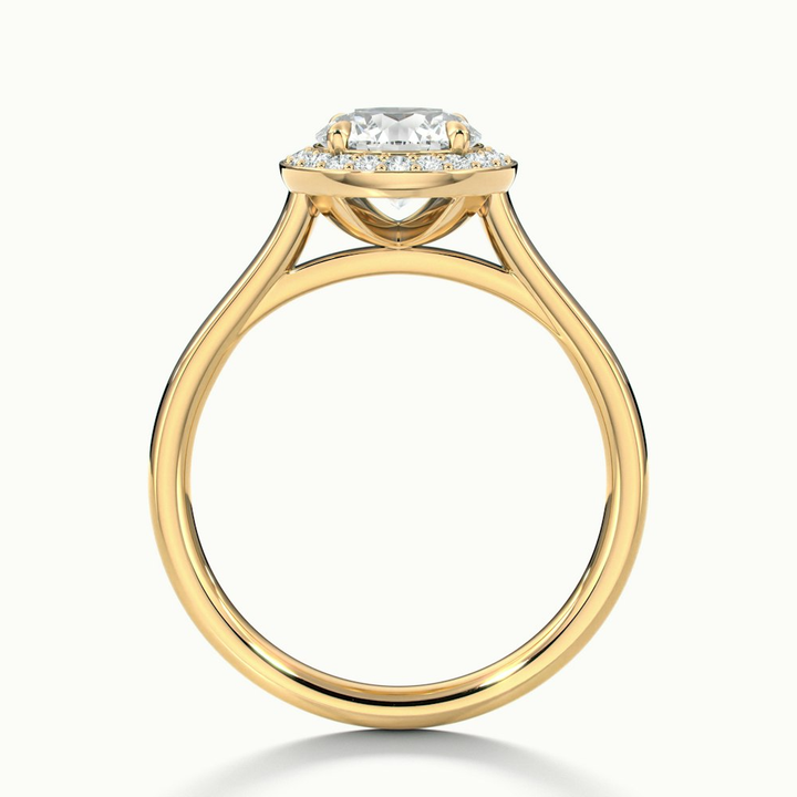 Helyn 4 Carat Round Halo Lab Grown Engagement Ring in 18k Yellow Gold