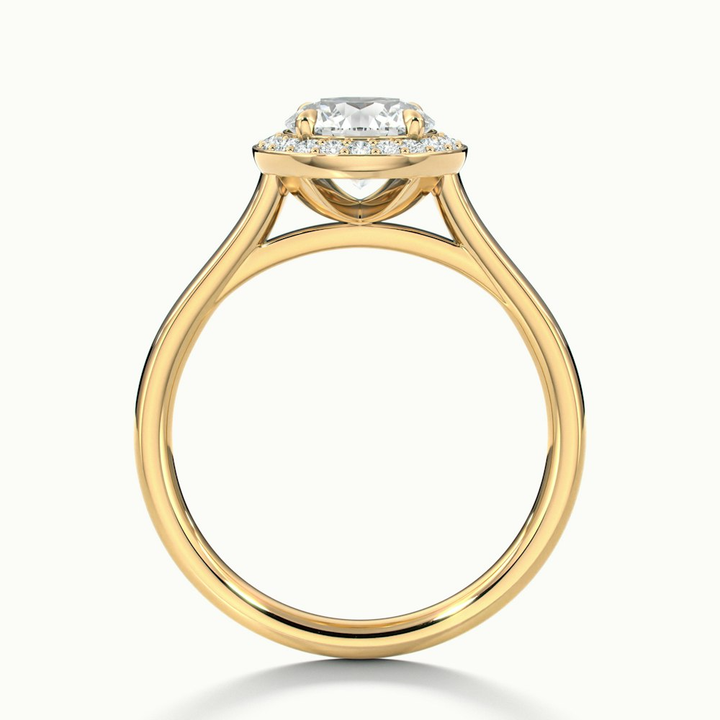 Iva 2 Carat Round Halo Moissanite Diamond Ring in 10k Yellow Gold