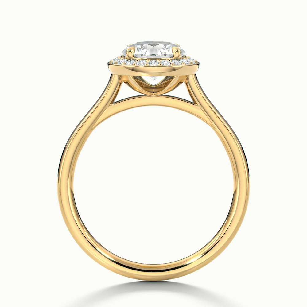 Iva 1.5 Carat Round Halo Moissanite Diamond Ring in 10k Yellow Gold