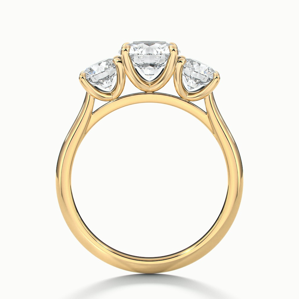 Jane 7 Carat Round Three Stone Moissanite Diamond Ring in 10k Yellow Gold