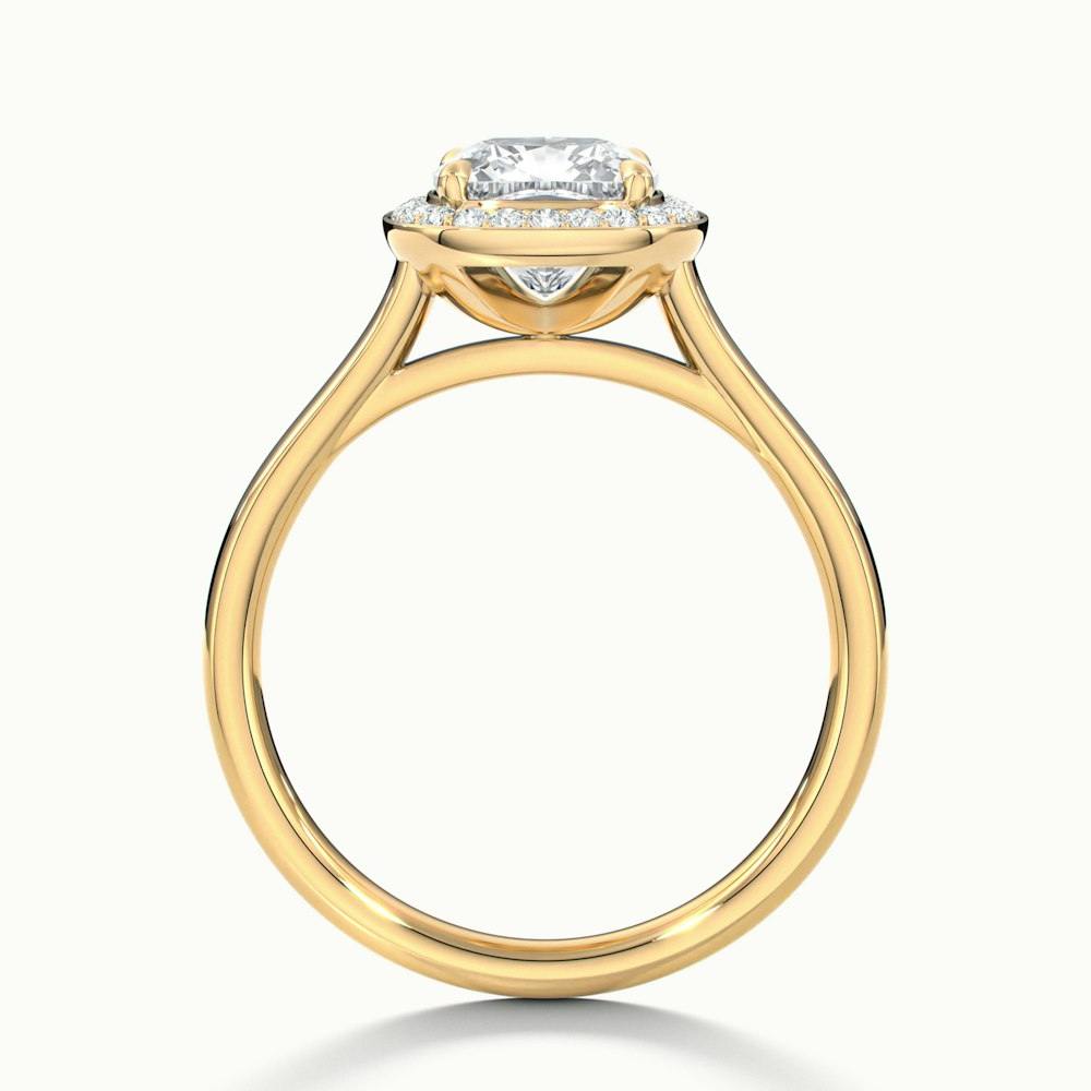 Jeri 3 Carat Cushion Cut Halo Moissanite Engagement Ring in 10k Yellow Gold