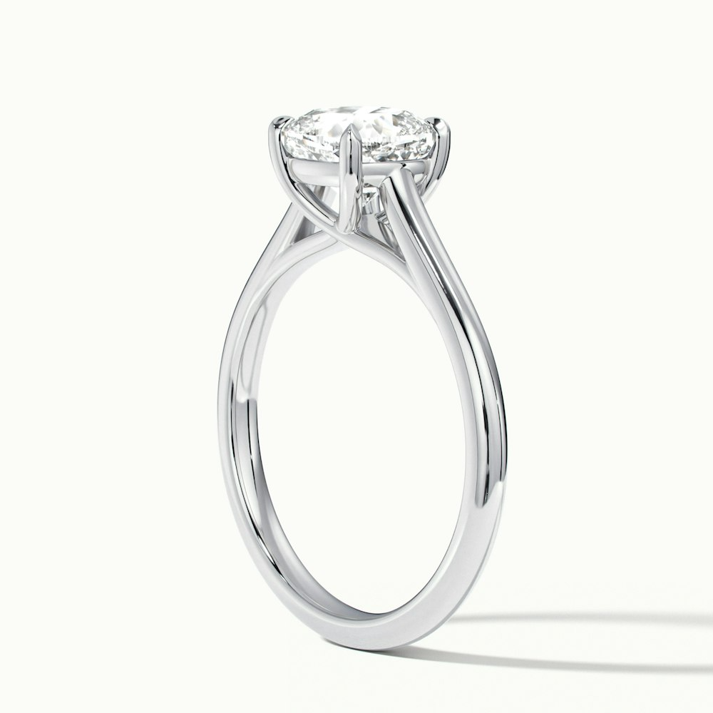 Rosa 8 Carat Cushion Cut Solitaire Moissanite Engagement Ring in 10k White Gold