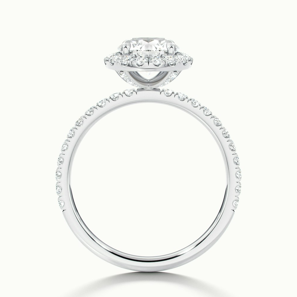 Hailey 3 Carat Round Cut Halo Moissanite Engagement Ring in Platinum