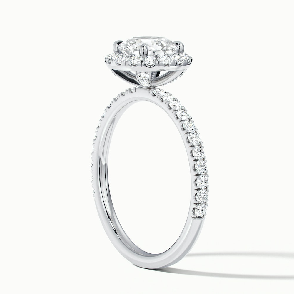 Hailey 4 Carat Round Cut Halo Moissanite Engagement Ring in Platinum