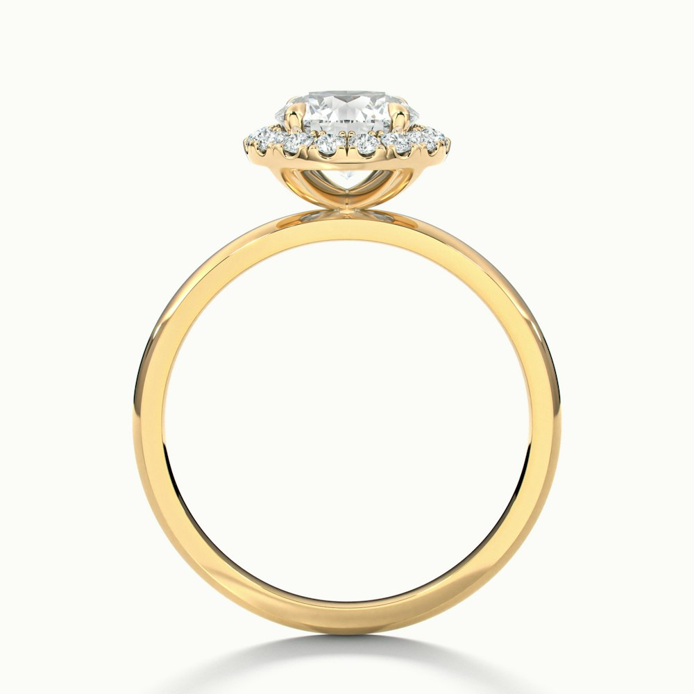 Kara 4 Carat Round Halo Lab Grown Diamond Ring in 10k Yellow Gold