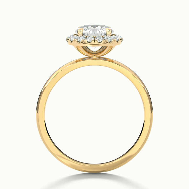 Kara 2 Carat Round Halo Lab Grown Diamond Ring in 10k Yellow Gold