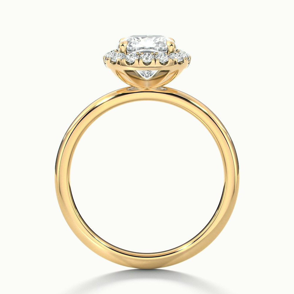 Nora 4 Carat Cushion Cut Halo Lab Grown Diamond Ring in 10k Yellow Gold