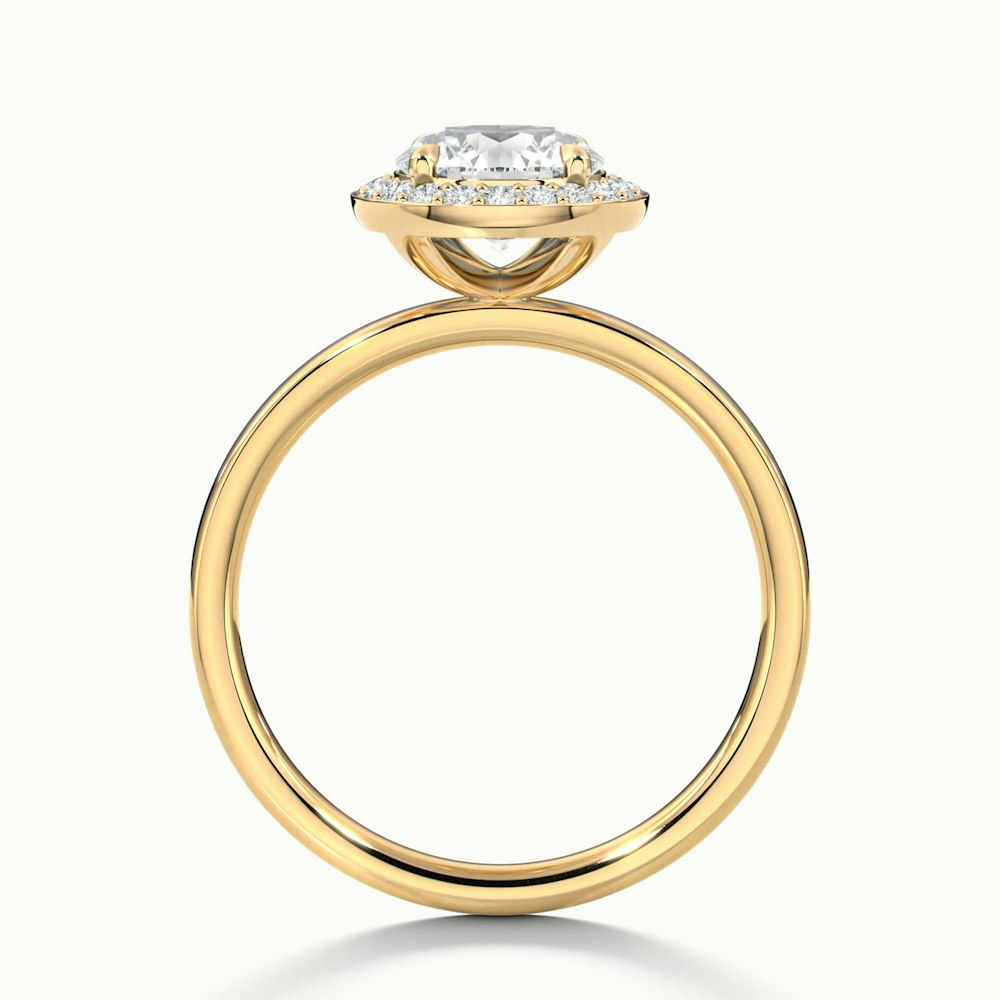 Arya 4.5 Carat Round Halo Pave Lab Grown Diamond Ring in 10k Yellow Gold