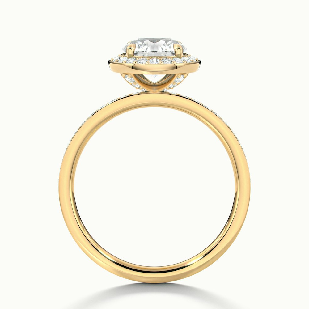Nyra 1 Carat Round Halo Pave Moissanite Engagement Ring in 10k Yellow Gold