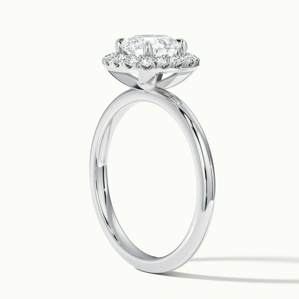 Anya 2.5 Carat Round Cut Halo Moissanite Engagement Ring in 10k White Gold