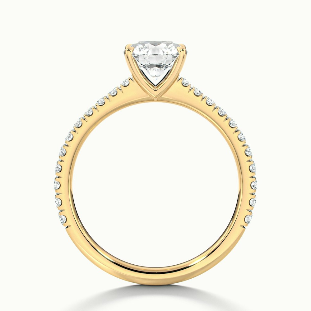 Sarah 4 Carat Round Solitaire Pave Lab Grown Diamond Ring in 10k Yellow Gold