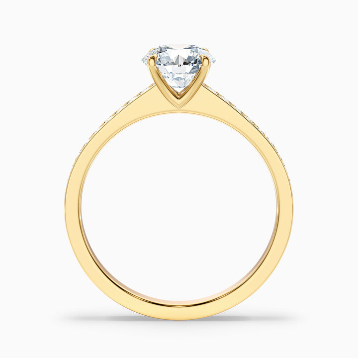 Kate 1 Carat Round Cut Side Stone Pave Lab Grown Engagement Ring in 10k Yellow Gold - Side View