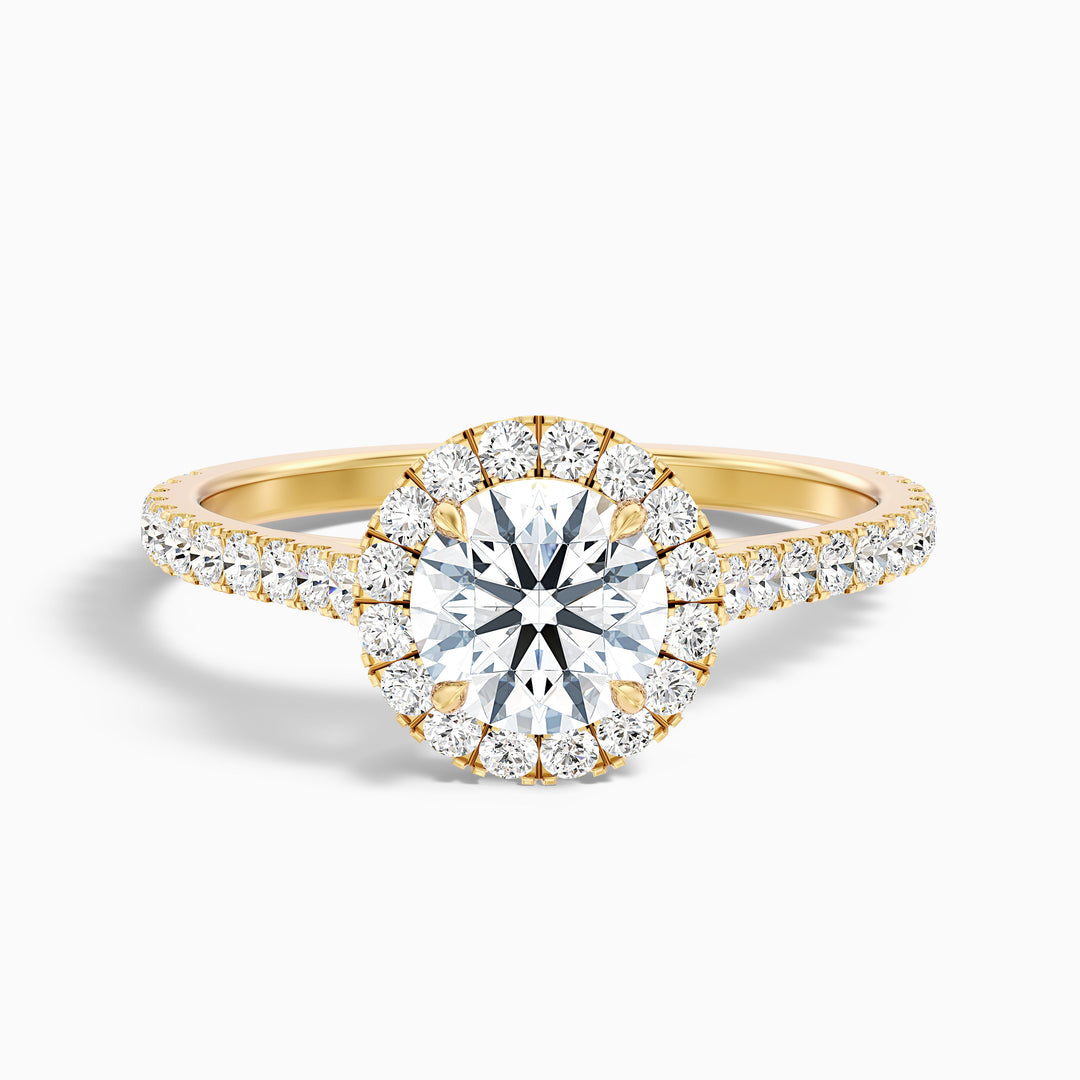 tara 8 carat round halo pave moissanite engagement ring in 10k yellow gold -  Front View