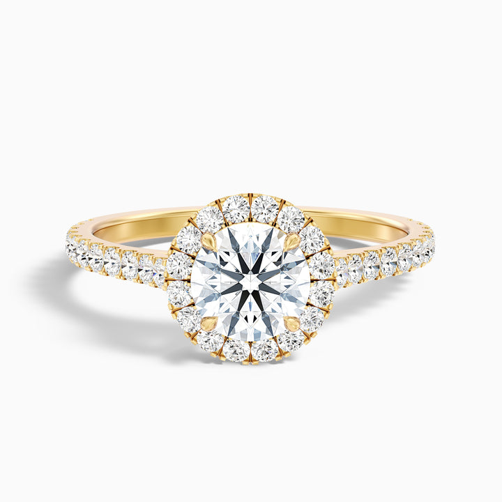 tara 6 carat round halo pave moissanite engagement ring in 14k yellow gold -  Front View