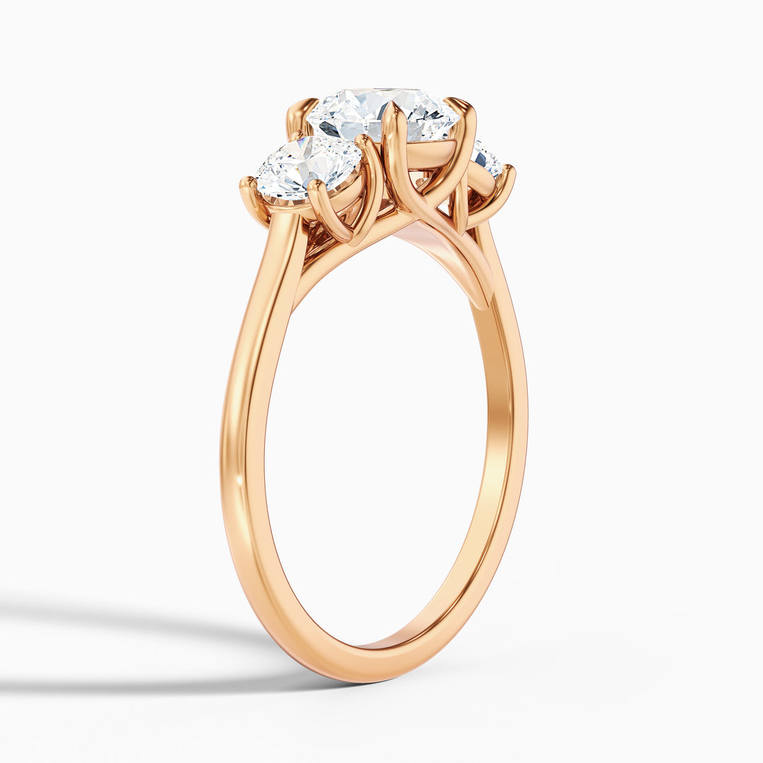 skye 8 carat round 3 stone moissanite engagement ring in 10k rose gold -  Detail View