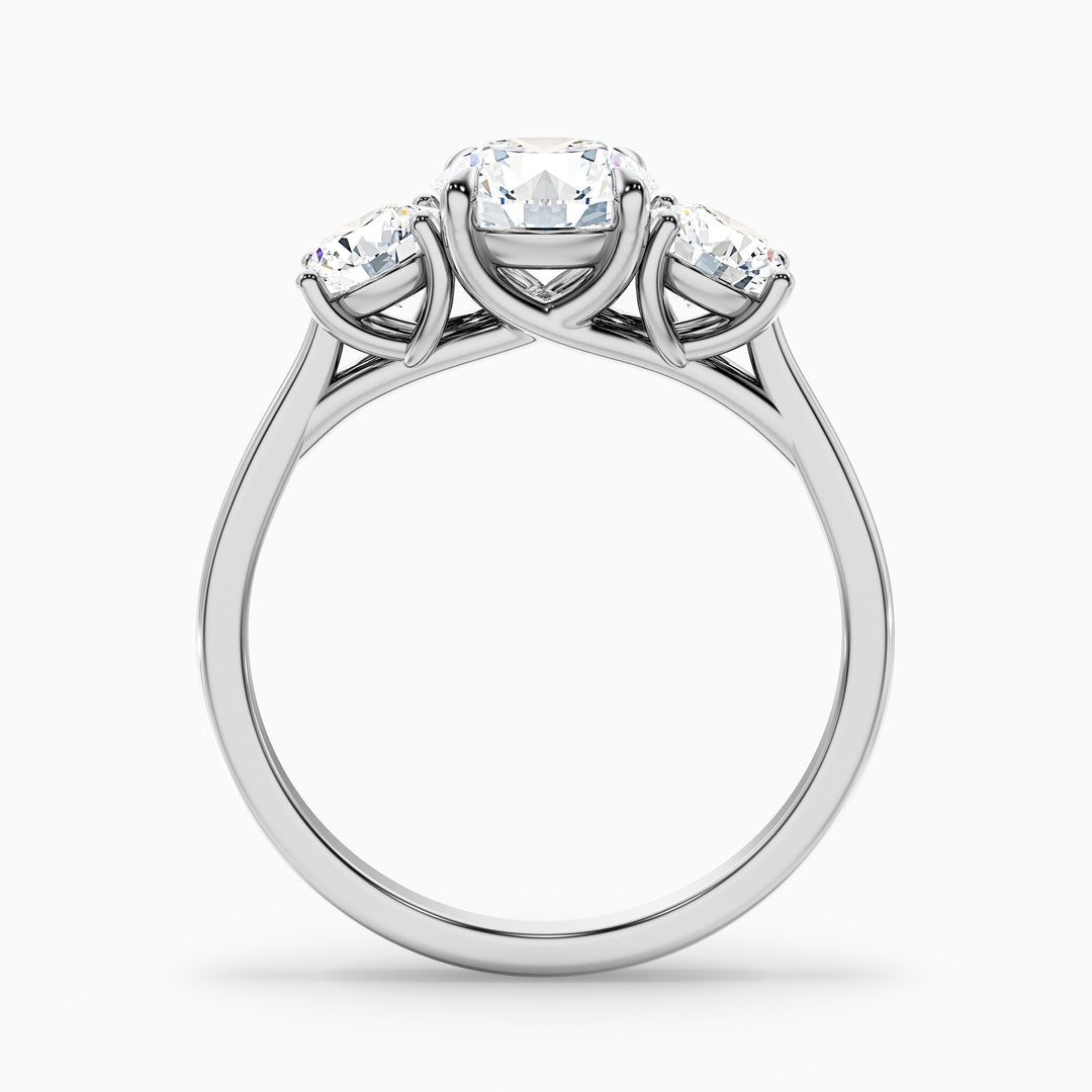 skye 6 carat round 3 stone moissanite engagement ring in 14k white gold -  Side View