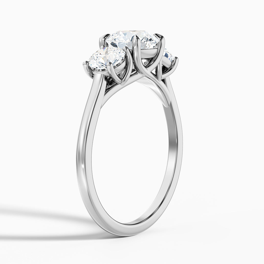 skye 6 carat round 3 stone moissanite engagement ring in 10k white gold -  Detail View