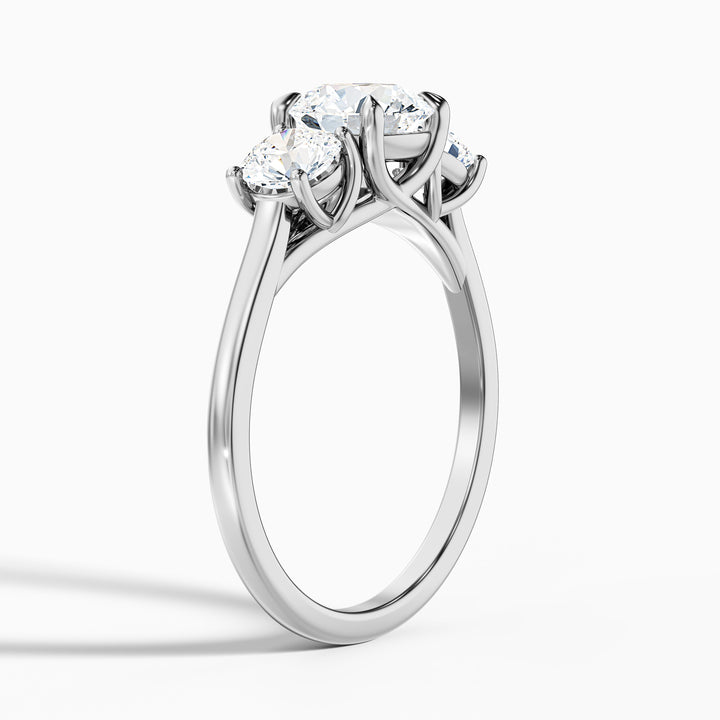 skye 9 carat round 3 stone moissanite engagement ring in 925 sterling silver - Detail View
