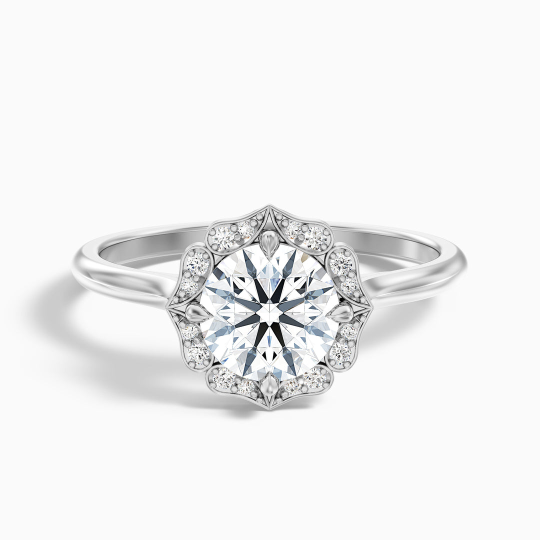 ruth 6 carat round halo moissanite engagement ring in 14k white gold -  Front View