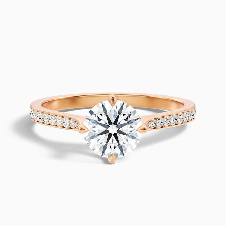 Anna 4 Carat Round Side Stone Pave Lab Grown Engagement Ring in Platinum - Front View