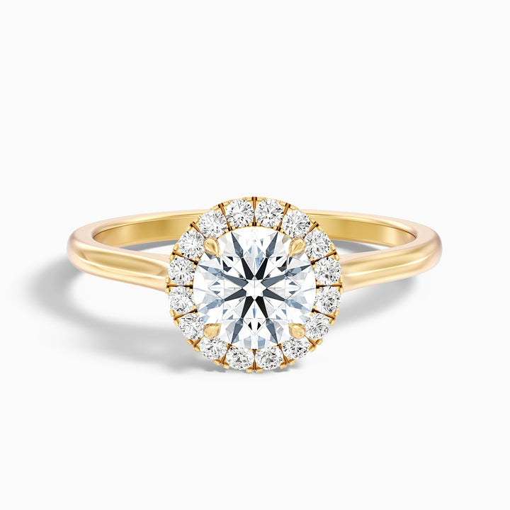 Bela 3.5 Carat Round Halo Lab Grown Engagement Ring in Platinum - Front View