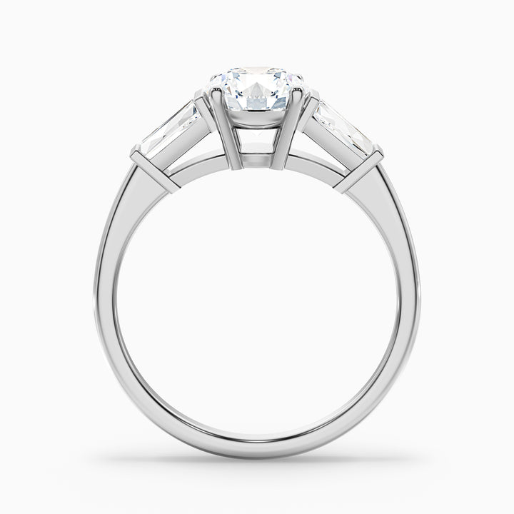 Carly 3 Carat Round 3 Stone Lab Grown Engagement Ring With Side Baguette Diamonds in Platinum - Side View