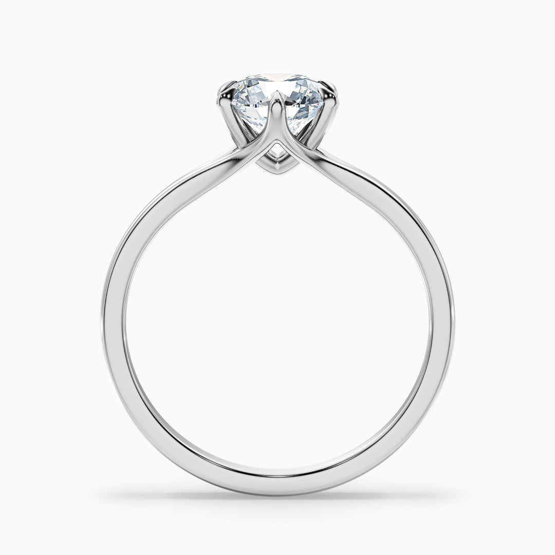 vani 9 carat round solitaire moissanite diamond ring in 925 sterling silver - Side View