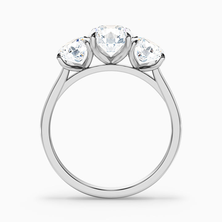 jane 9 carat round three stone moissanite diamond ring in 925 sterling silver - Side View