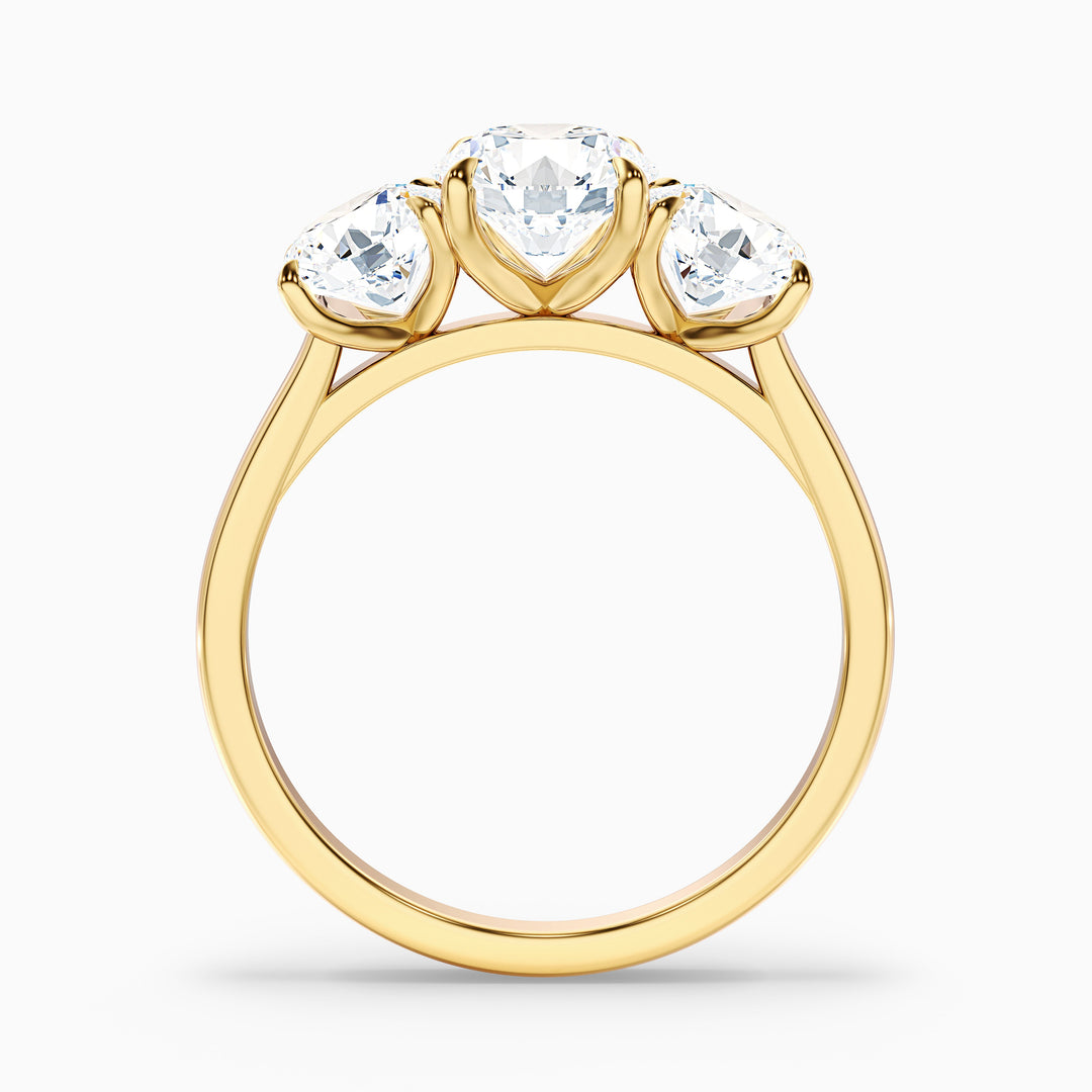 jane 7 carat round three stone moissanite diamond ring in 14k yellow gold -  Side View