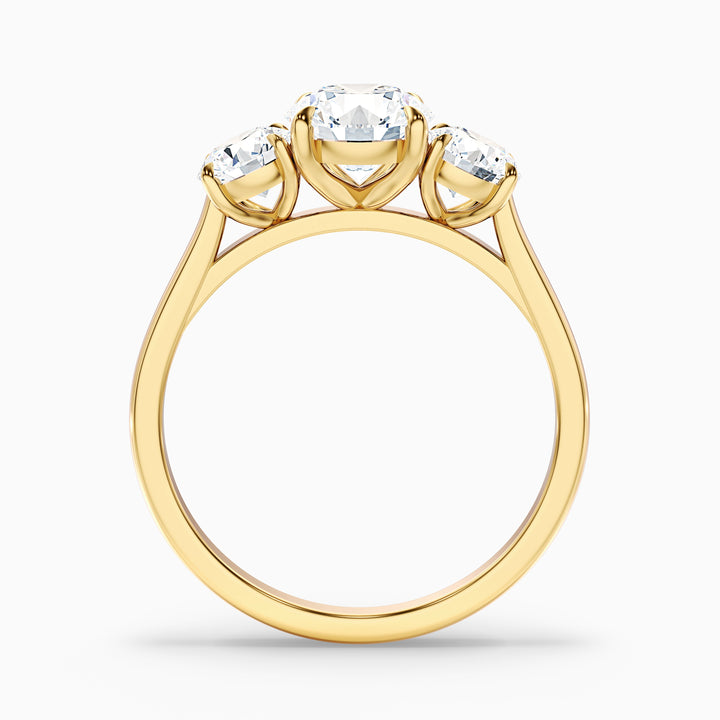 Ira 2.5 Carat Round Three Stone Lab Grown Engagement Ring in Platinum - Side View