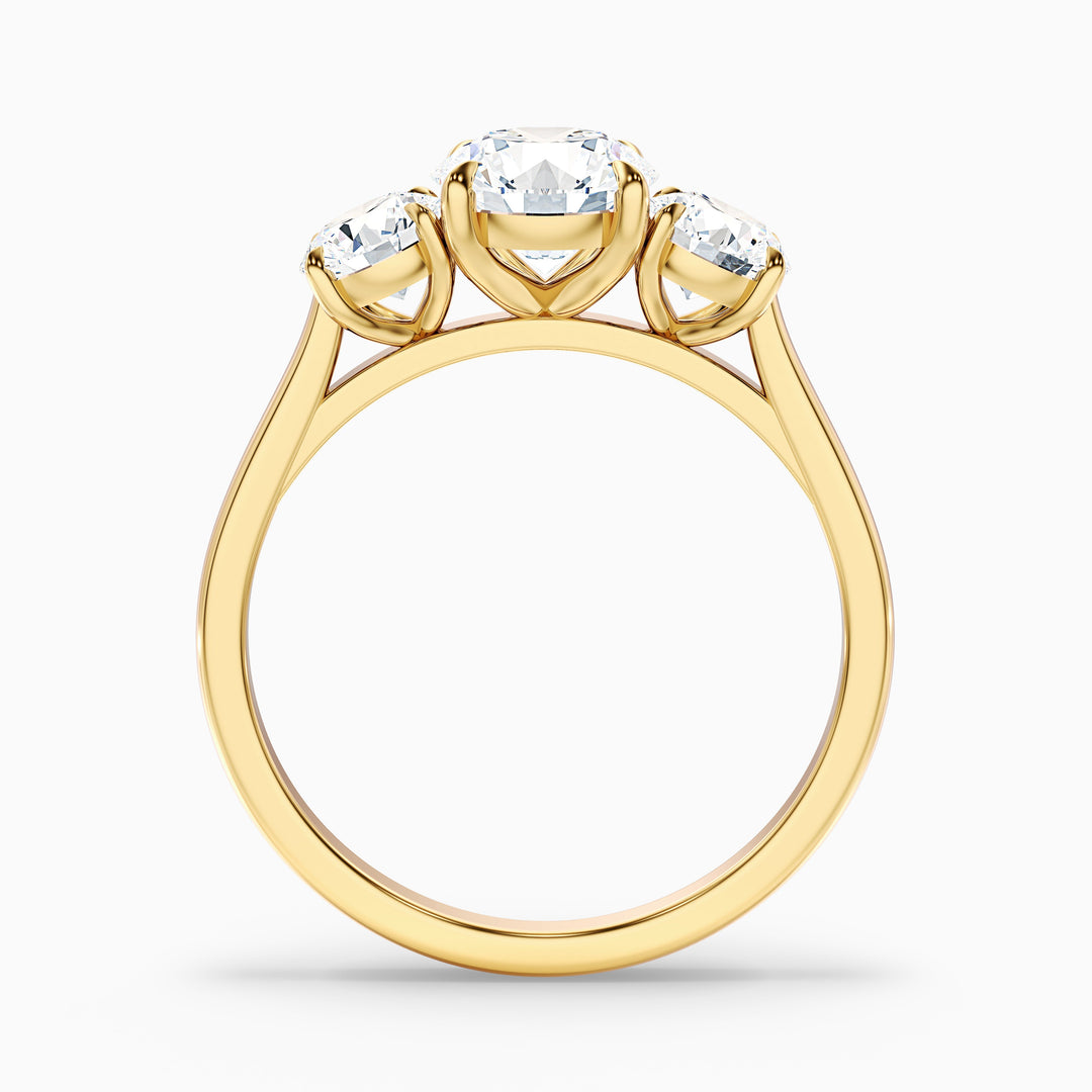 Ira 1 Carat Round Three Stone Lab Grown Engagement Ring in Platinum - Side View