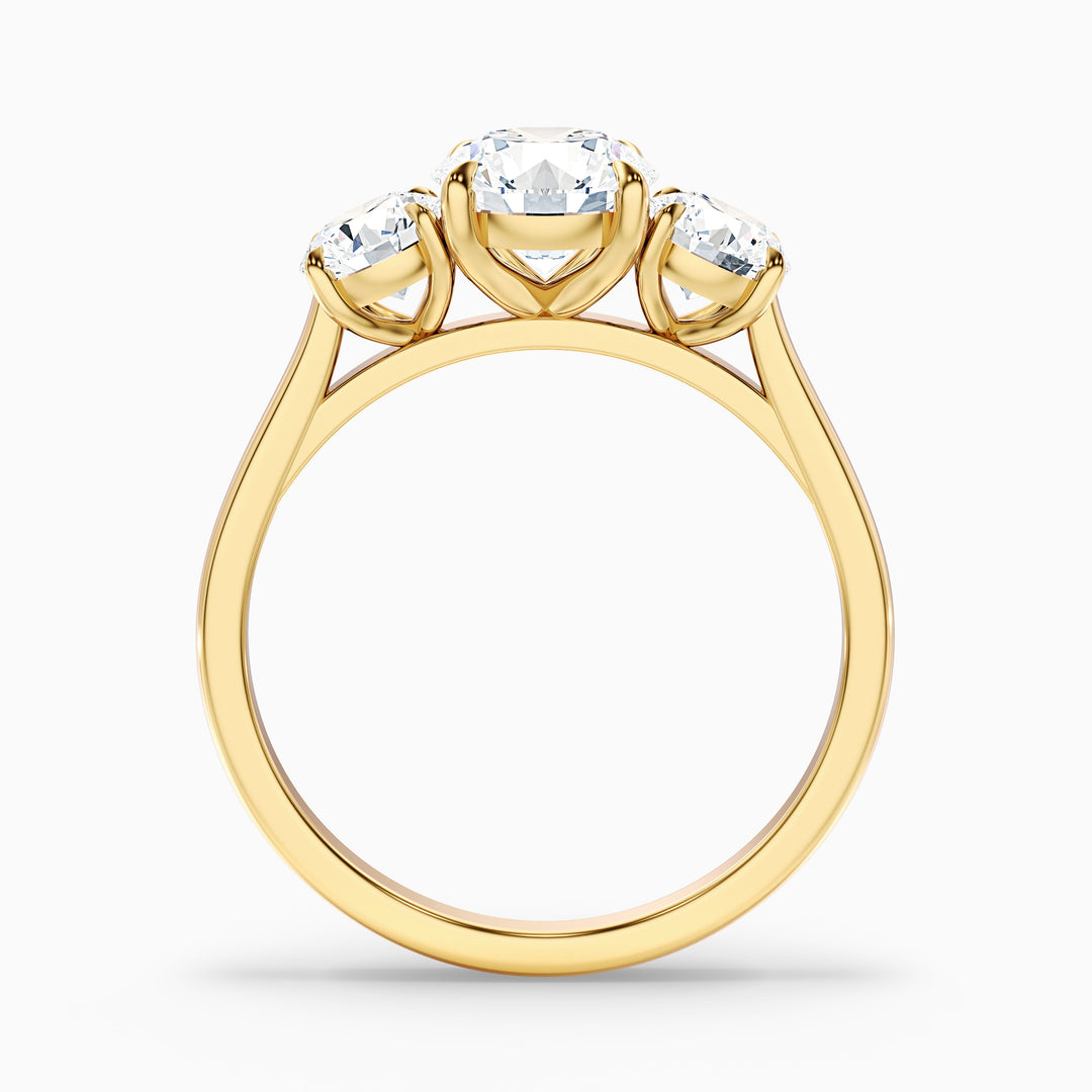 Hana 3 Carat Round Three Stone Moissanite Diamond Ring - Side View