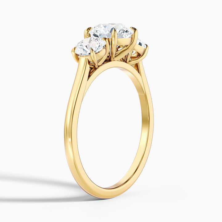 Ira 1 Carat Round Three Stone Lab Grown Engagement Ring in Platinum - Detail View