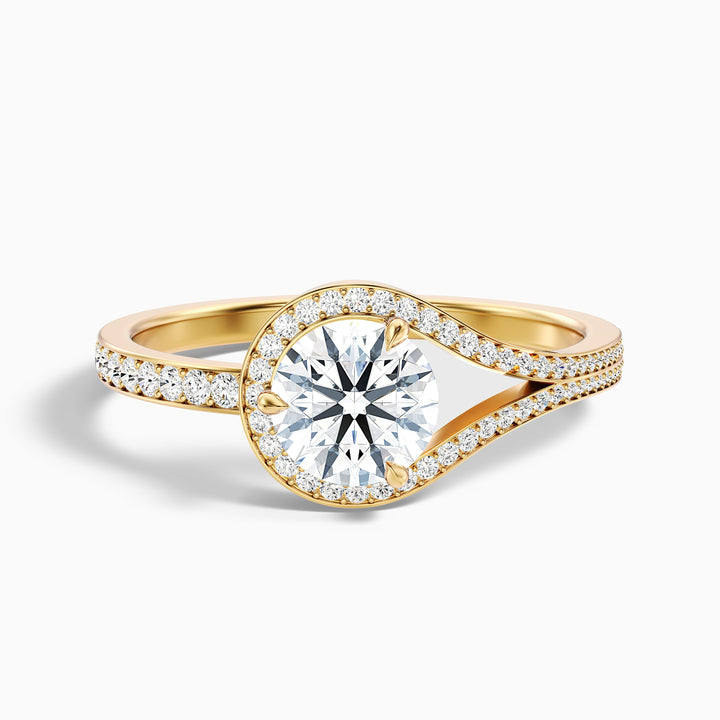 elly 9 carat round halo pave moissanite diamond ring in 10k yellow gold -  Front View