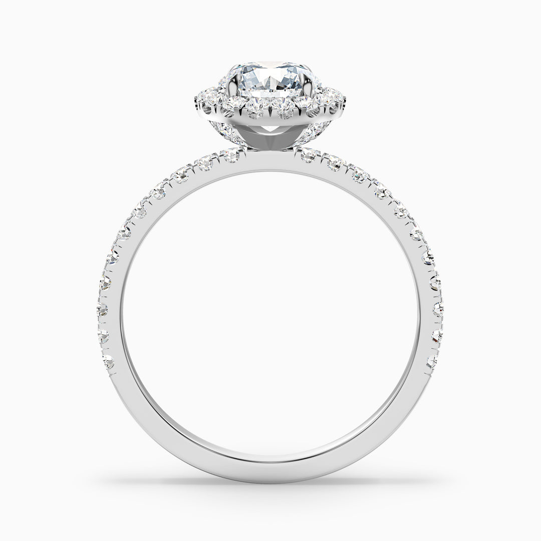 Hailey 4.5 Carat Round Cut Halo Moissanite Engagement Ring - Side View