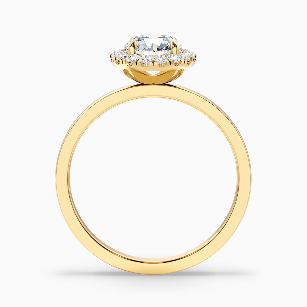 Kara 4 Carat Round Halo Lab Grown Diamond Ring in 14k Yellow Gold - Side View